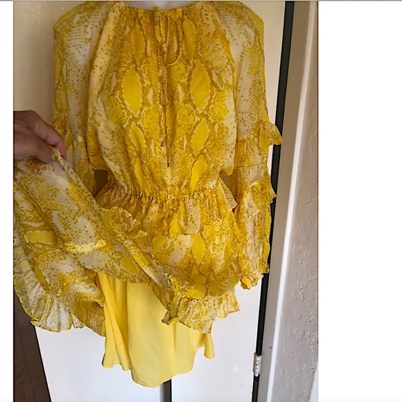 Diane von Furstenberg Haven Snake Print Silk Ruffle Dress - Picture 10 of 10